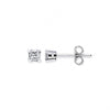 18k White Gold 0.30ct Claw Set Princess Cut Diamond Stud Earrings